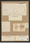 Actinoptychus vulgaris Schum. (de-Toni-Nr.: Genus 227, Species 5565) Zeichnungen Sammlung Grunow Nr. 9593 (NHMW-BOT-W0379412)